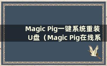 Magic Pig一键系统重装U盘（Magic Pig在线系统重装）
